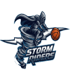 Stormriders